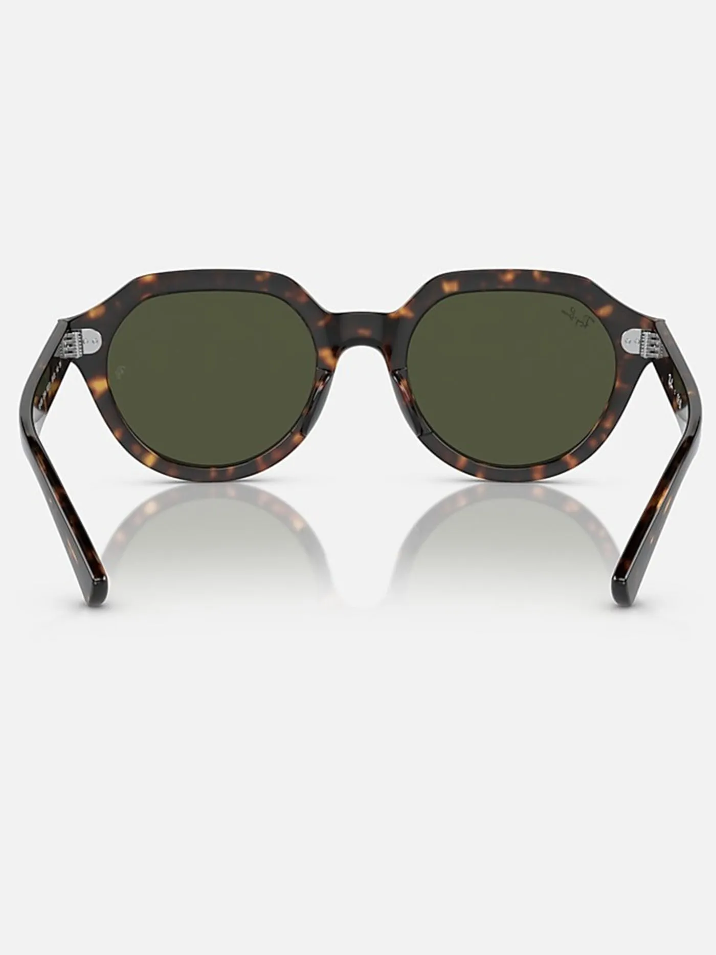 Gina Havana/Green Classic Sunglasses