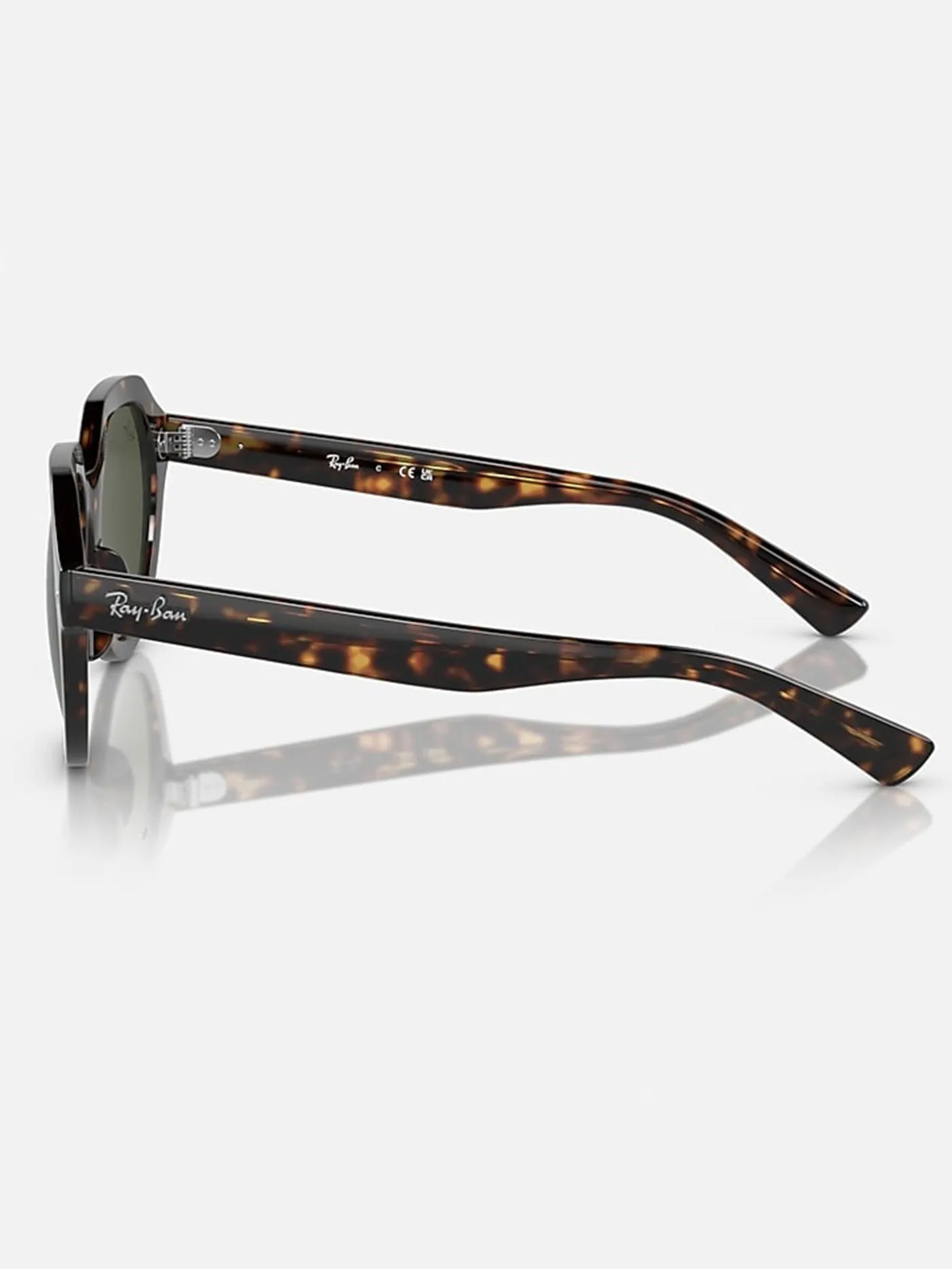 Gina Havana/Green Classic Sunglasses